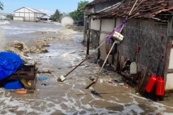 BPBD Pati imbau warga dekat pantai waspada rob