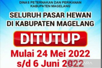 14  hari pasar hewan di Kabupaten Magelang tutup, antisipasi PMK