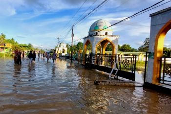 Telaah - Masalah dan solusi banjir Kaltara