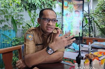Hutan mangrove terluas di Indonesia ada di Papua Barat