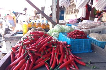 Harga cabai - daging sapi di pasar tradisional Makassar bergerak naik
