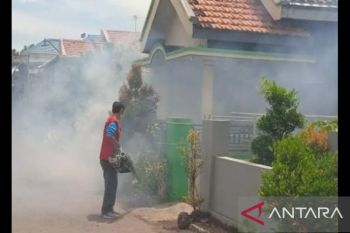 Empat pasien DBD di Probolinggo meninggal selama Januari-April 2022