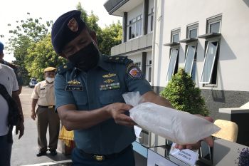 466 ribu benih lobster tangkapan TNI AL dilepaskan di Kepri