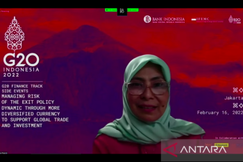 Involving women can boost company's productivity: PLN's director