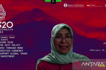 Dukung setara gender porsi pegawai perempuan di PLN hampir 20 persen