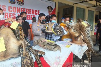 Polisi tangkap perajin di Jember gunakan bahan satwa liar dilindungi