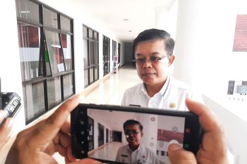 Stok sapi di Tanjungpinang hanya mampu penuhi kebutuhan sembilan hari