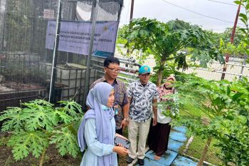 PLN olah hasil The Power Green House dengan kompor induksi