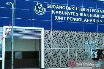 Biak berencana ekspor ikan dengan pelibatan pelaku UMKM