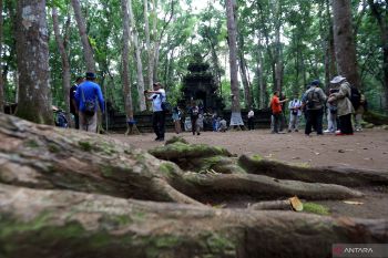 Wisata SItus Kawitan ALas Purwo