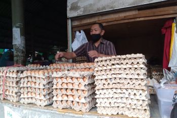 Disdag Mataram memantau kenaikan harga telur di pasar tradisional