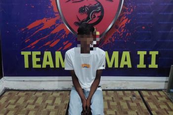 Polisi tangkap pelaku pencabulan gadis di Bima