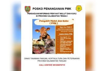 DTPHP Kalteng sediakan posko penanganan PMK