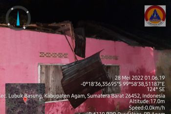 Dua pohon tumbang di  Agam, satu rumah rusak berat