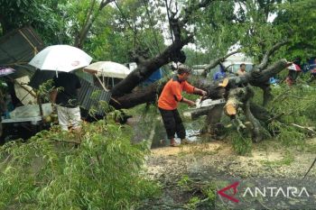 Enam bangunan diterjang angin ribut