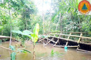 Sebuah jembatan di Bartim ambruk akibat banjir