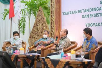 SP2P menolak penetapan kawasan hutan dengan pengelolaan khusus