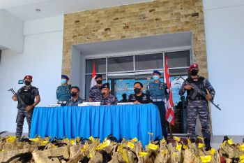 Lantamal VIII gagalkan penyelundupan 114 ayam dari Filipina