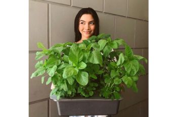 Angela Gilsha gunakan media sosial untuk sebar "awareness" lingkungan