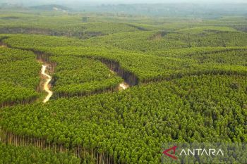 Penerimaan negara di Sumsel naik 26,03 persen April 2022