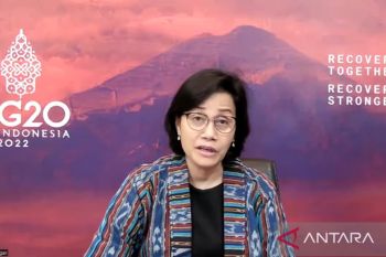 Mulyani : Pemerintah akan perluas cakupan neraca komoditas