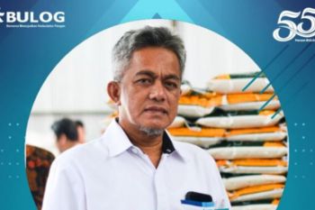 Bulog Mamuju jamin stok bahan pangan aman hingga tiga bulan ke depan