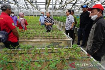 Kunjungi PT RAPP, kolaborasi dunia usaha dan Institut Pendidikan