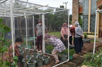 Sumsel dorong pemanfaatan lahan panti sosial jadi produktif