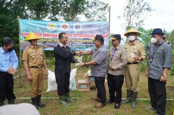 Kementan beri bantuan pupuk pada petani durian di Gunung Kidul