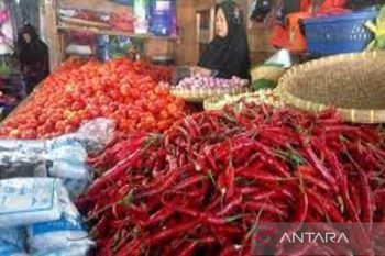 Harga cabai merah di Kendari masih tergolong stabil