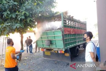 Sulawesi kirim sapi bebas PMK ke Tanah Bumbu Kalsel