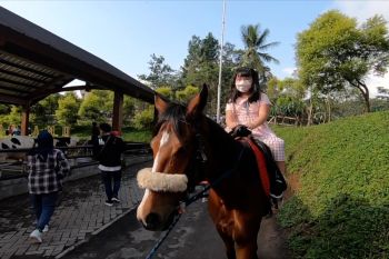 Berlibur dengan berinteraksi bersama hewan di Puncak Bogor
