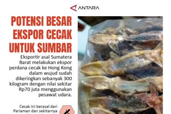 POTENSI BESAR EKSPOR CECAK UNTUK SUMBAR