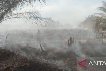 Kabut asap selimuti sebagian wilayah  Mukomuko