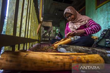 Kayu Manis Produk Unggulan Geopark Meratus