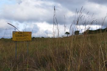 BPBD Nagekeo antisipasi kebakaran hutan dan lahan