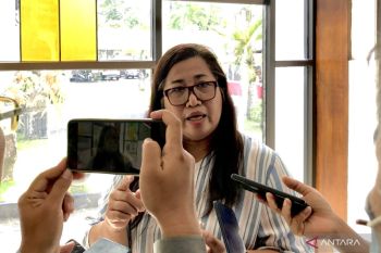 Kebijakan PLN batasi kapasitas PLTS atap keliru