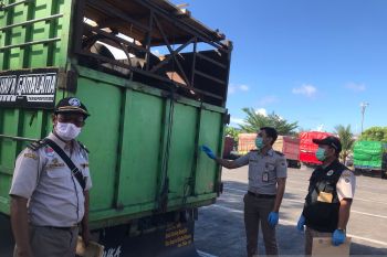 Karantina Pertanian Manado perketat penjagaan hewan rentan PMK masuk Sulut