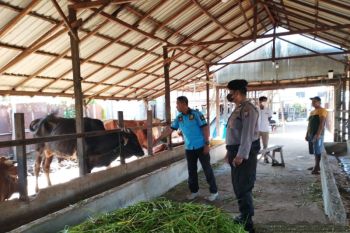 Polresta Palangka Raya gencar bantu pencegahan penularan PMK