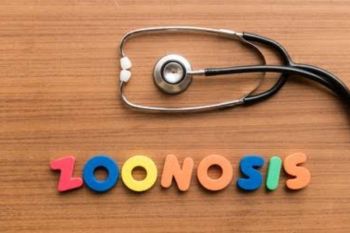 G20 efforts in tackling  zoonotic disease threat