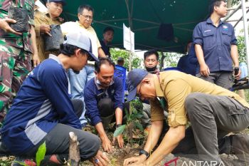 JBI OKU tanam 200 ribu bibit pohon produktif