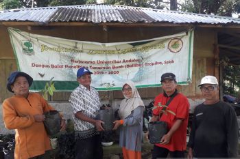 Unand serahkan bibit durian juara kontes pada pekebun Batu Busuk