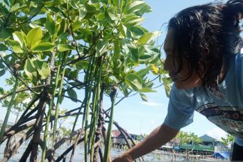 FKH Sulawesi Selatan kampanyekan literasi lingkungan hidup