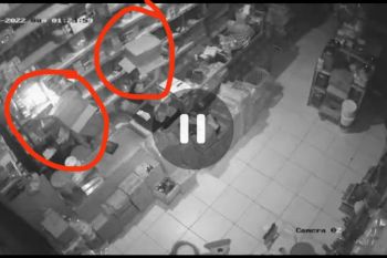 Geger! maling aneh berkepala kardus, keruk uang toko di Bima Rp500 ribu (Video)