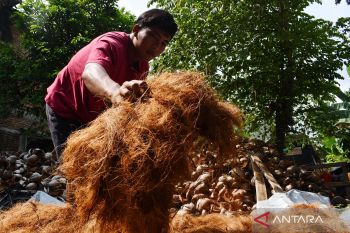 Usaha Pengolahan Sabut Kelapa di Madiun