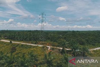 PLN pasok IKN dengan SPLU dan dua gardu induk