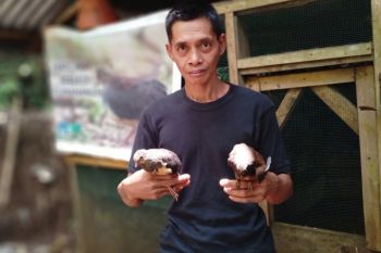Mantan pemburu satwa berbagi kisah di Hari Lingkungan Hidup Sedunia