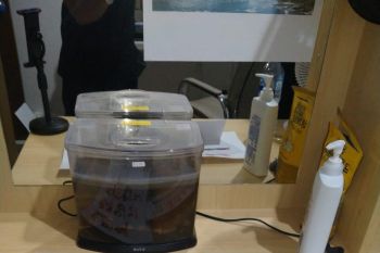 Polisi hentikan penyelidikan tewasnya WN Korsel