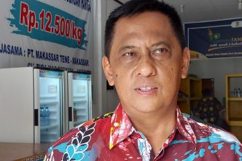 Pemprov Papua hingga kini belum ada laporan soal PMK hewan