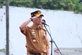 Ratu Dewa: Pemkot Palembang janji perjuangkan nasib pegawai honor